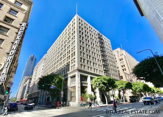 Photo of Quixotic Realty