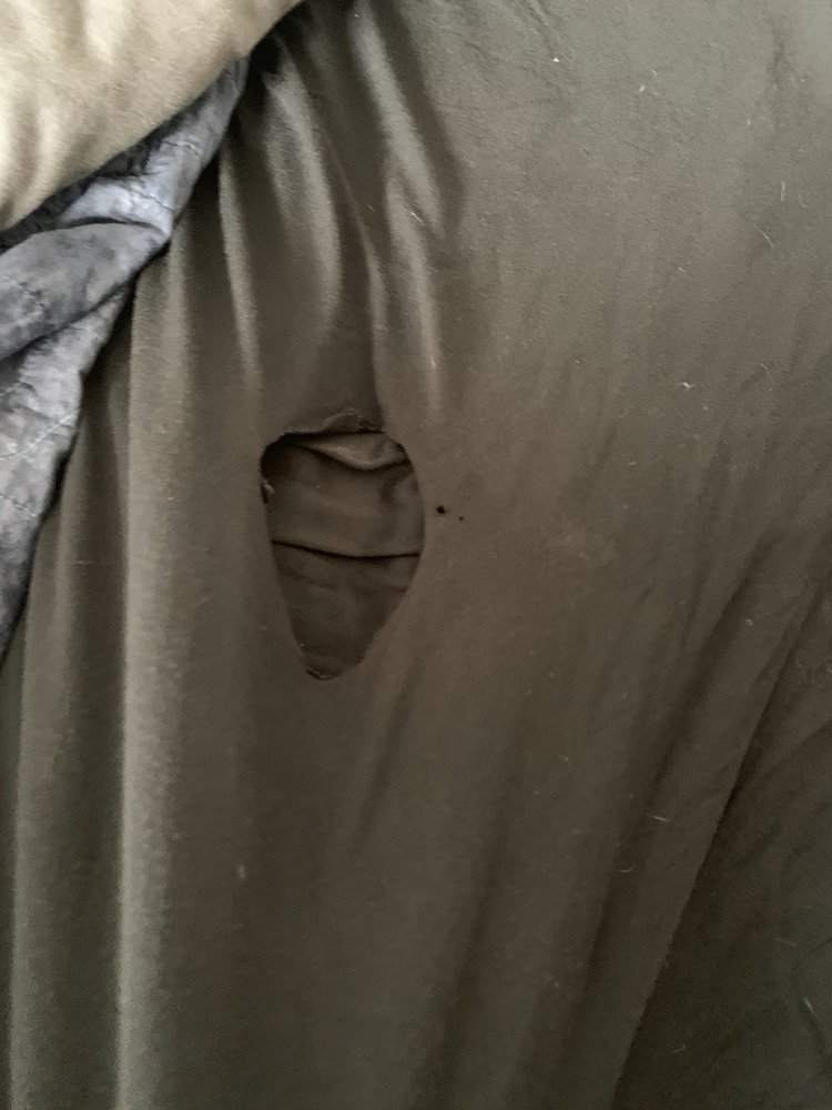 Photo of Doheny Dry Cleaners