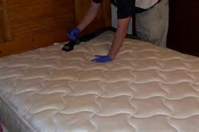 Photo of 100% Non-Toxic Green Carpet Cleaning Call Now