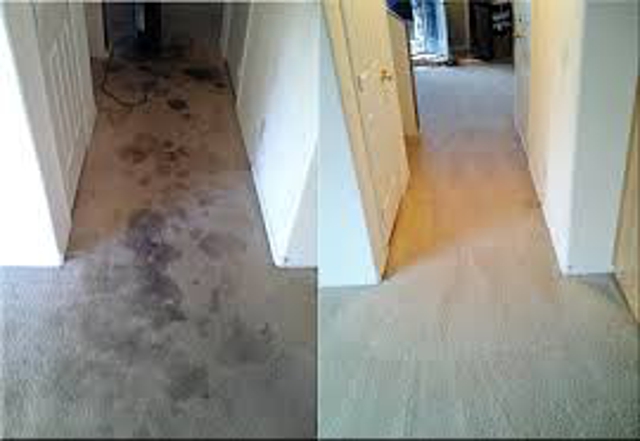 Photo of Upholstery Cleaning Los Angeles