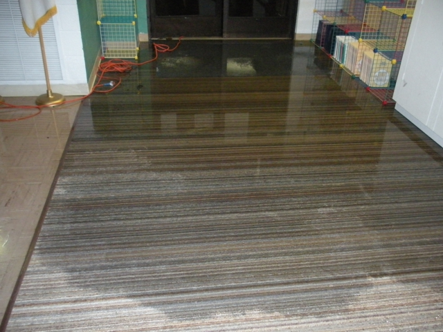 Photo of Eco Clean Carpet Cleaning