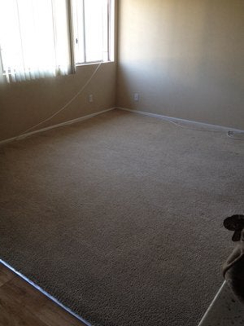 Photo of Carpet Dry Cleaning & More