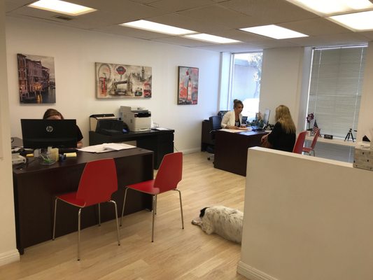 Photo of Delphi Passport & Visa Services