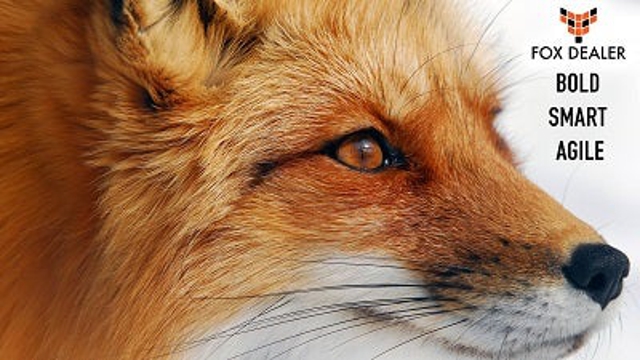 Photo of Fox Dealer