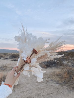 Photo of La Petite Fleur