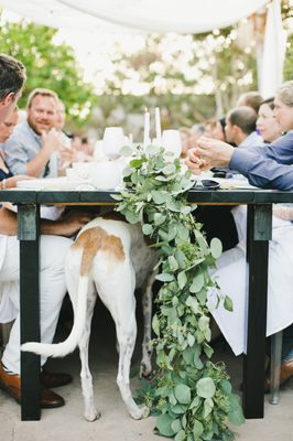 Photo of WINK! Weddings
