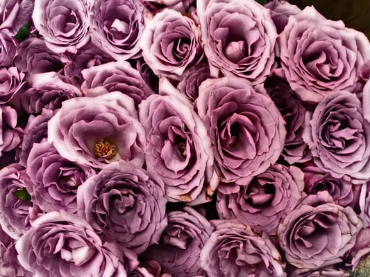 Photo of An Amazing Affair
