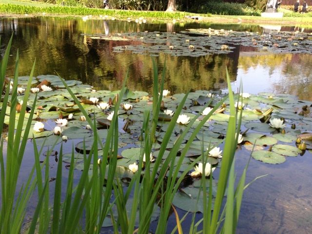 Photo of Norton Simon Museum of Art