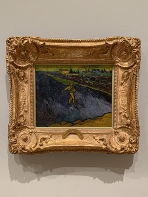 Photo of Hammer Museum
