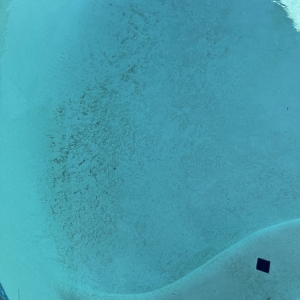 Photo of Pool Troopers