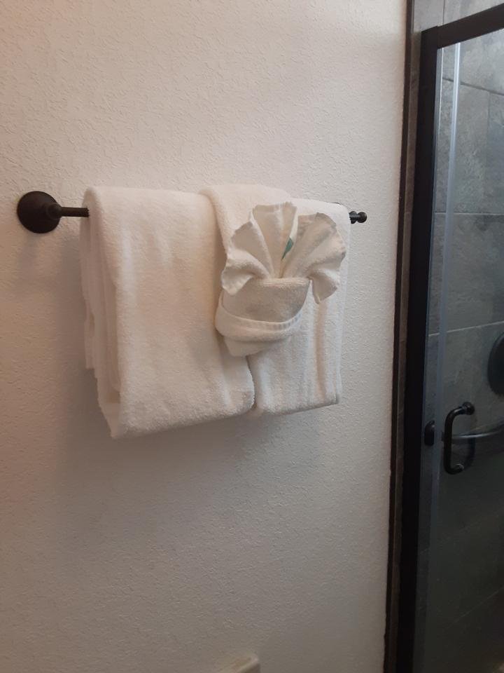 Photo of Scrubbin Cactus Cleaning