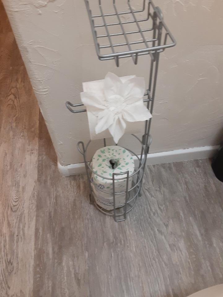 Photo of Scrubbin Cactus Cleaning