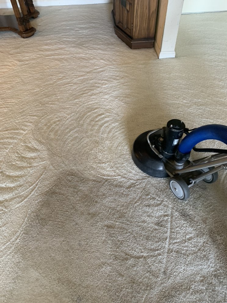 Photo of Momentum Carpet Care