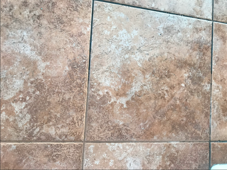 Photo of Evolution Cleaning