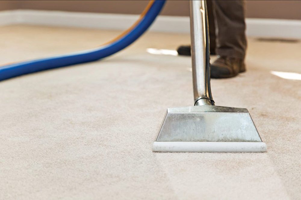 Photo of Evolution Cleaning