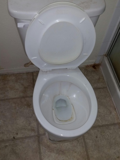 Photo of Jessica's Cleaning Service