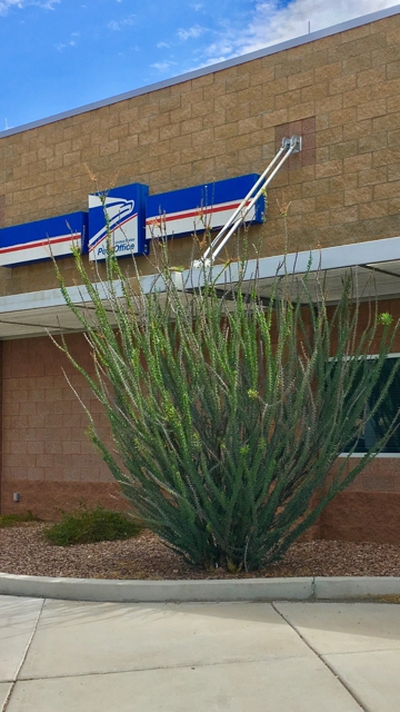 Photo of United States Postal Service
