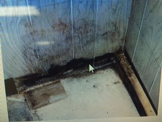 Photo of All Aspects Waterproofing