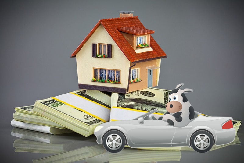 Photo of Moo Loans