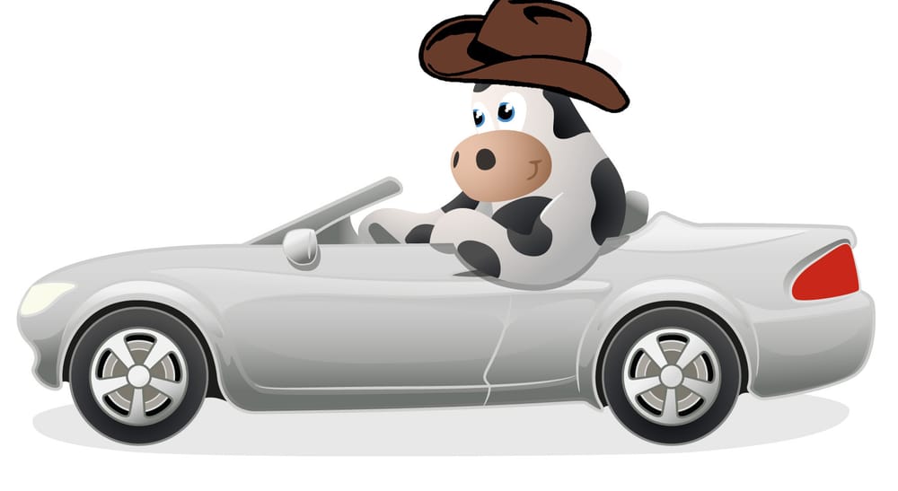 Photo of Moo Loans