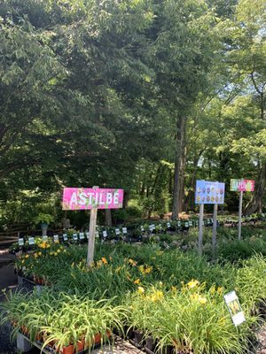 Photo of Merrifield Garden Center