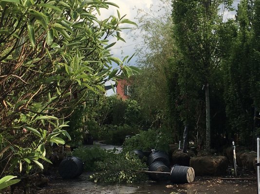 Photo of Merrifield Garden Center