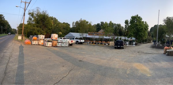 Photo of Pots & Plants