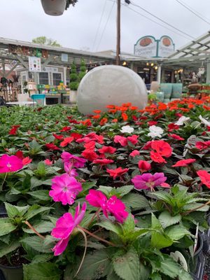 Photo of Greenstreet Gardens