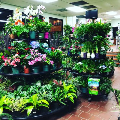 Photo of Greenstreet Gardens