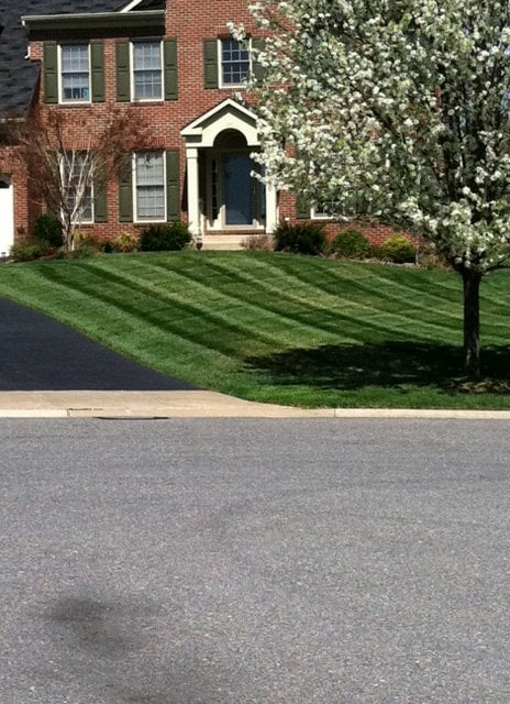Photo of Baumann's Lawn & Landscape