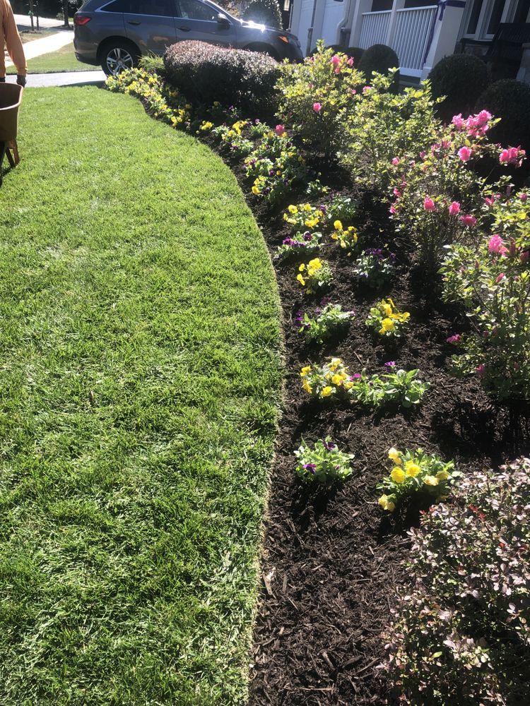 Photo of Avanza Landscaping & Maintenance