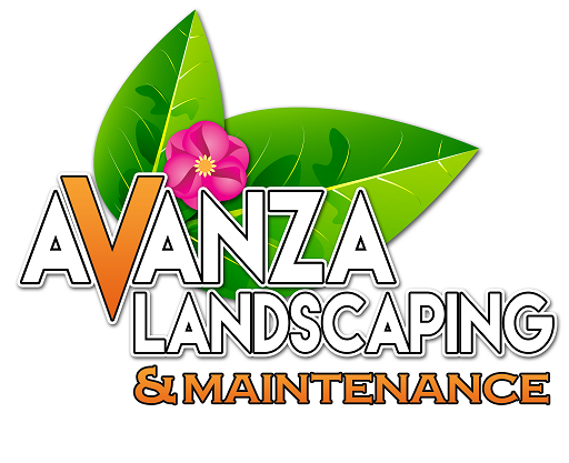 Photo of Avanza Landscaping & Maintenance