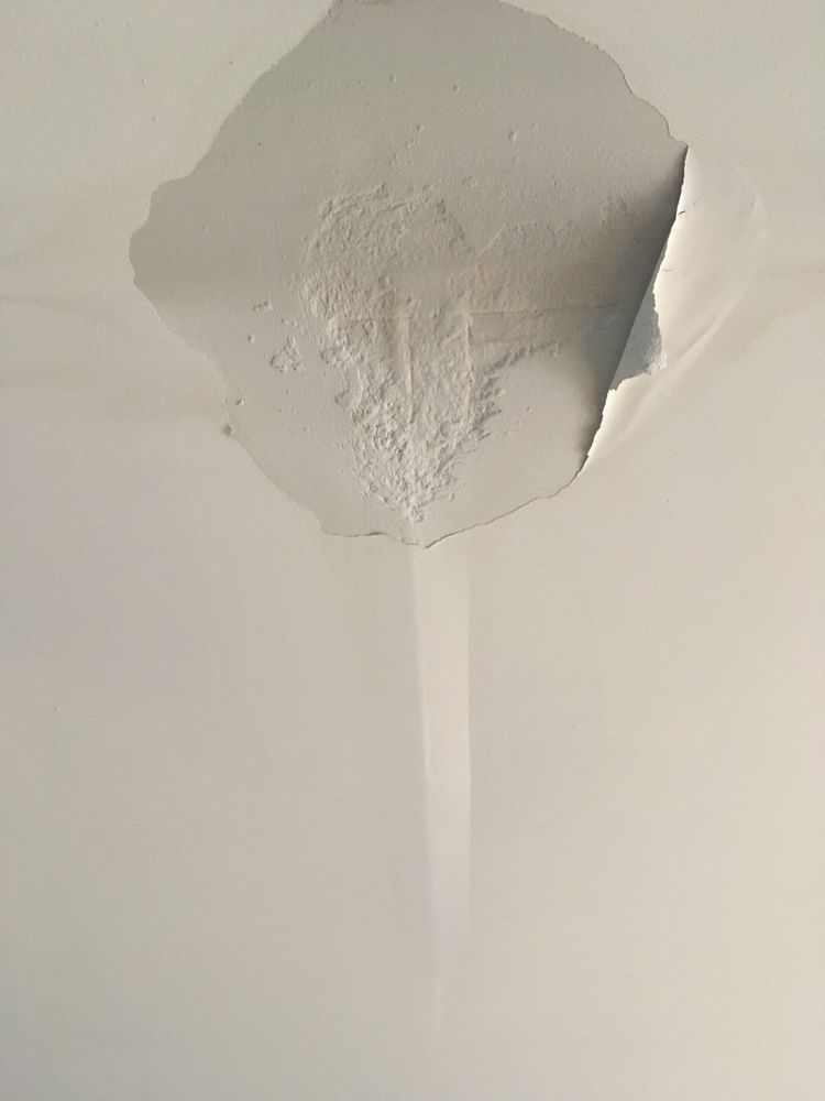 Photo of Augustine Roofing
