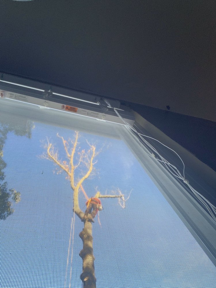 Photo of Garcias Tree Experts - Maryland