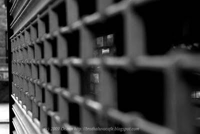 Photo of Captain Roll Up Gates