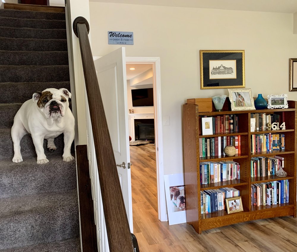 Photo of Columbia Floors