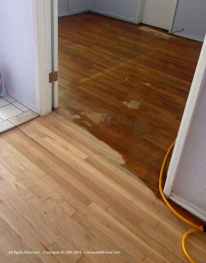 Photo of Hardwood Revival