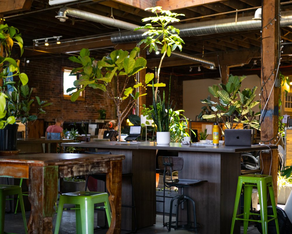 Photo of Green Spaces