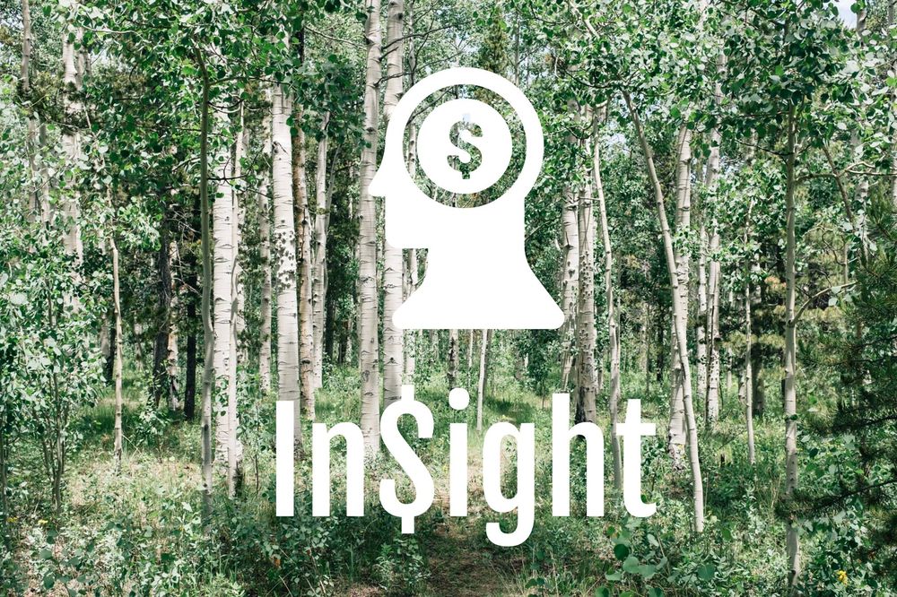 Photo of InSight