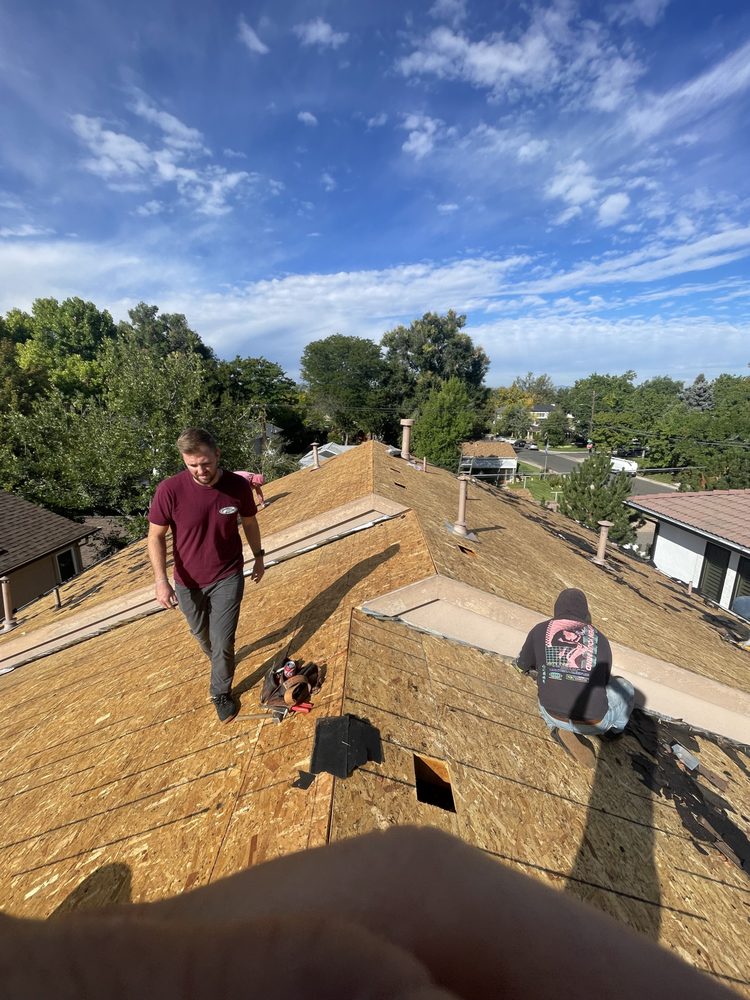 Photo of Force 5 Roofing