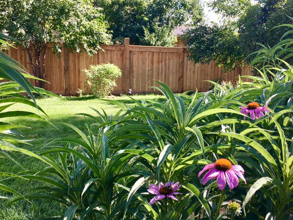 Photo of Trophy Fence