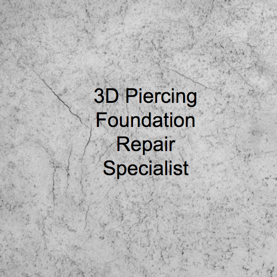 Photo of 3D Piering