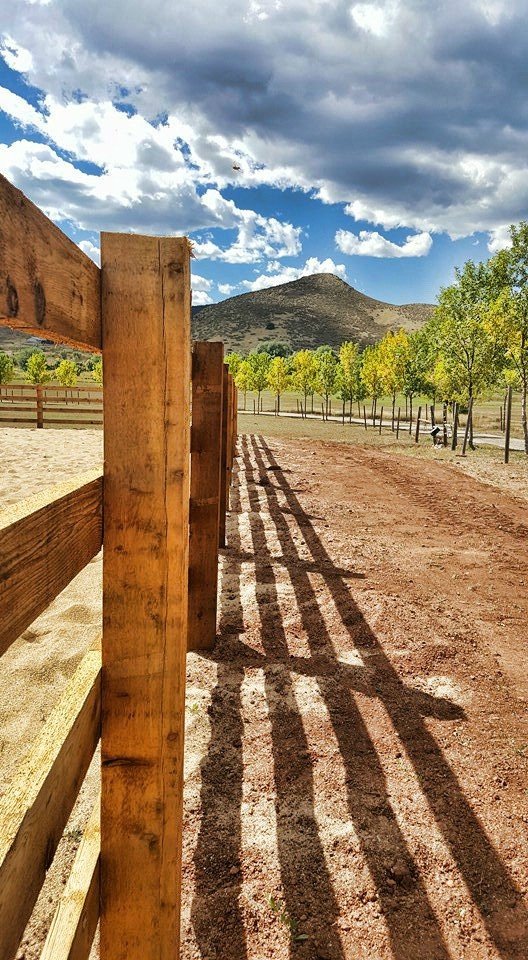 Photo of Timberland Fence, Lawn, and Landscape