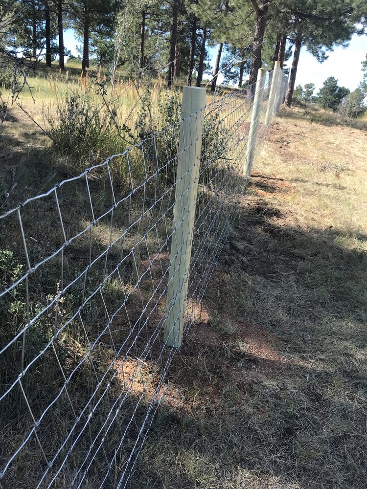 Photo of Open Range Fence