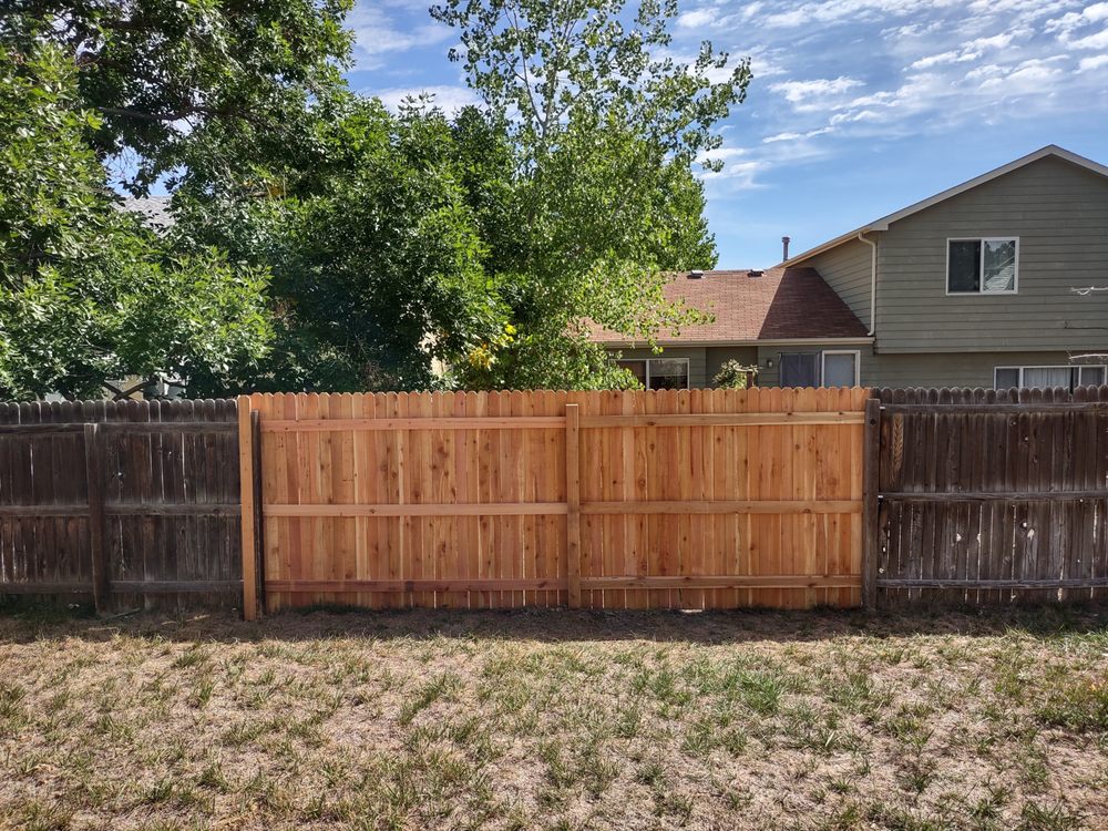 Photo of Broken Fences