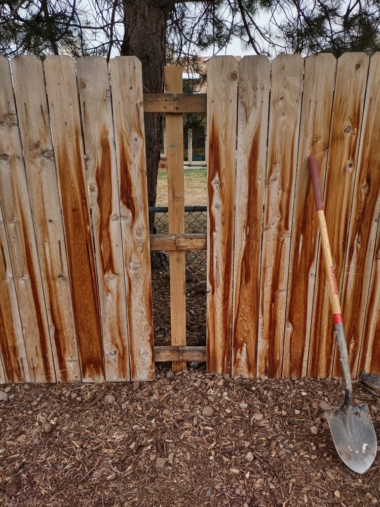 Photo of Broken Fences