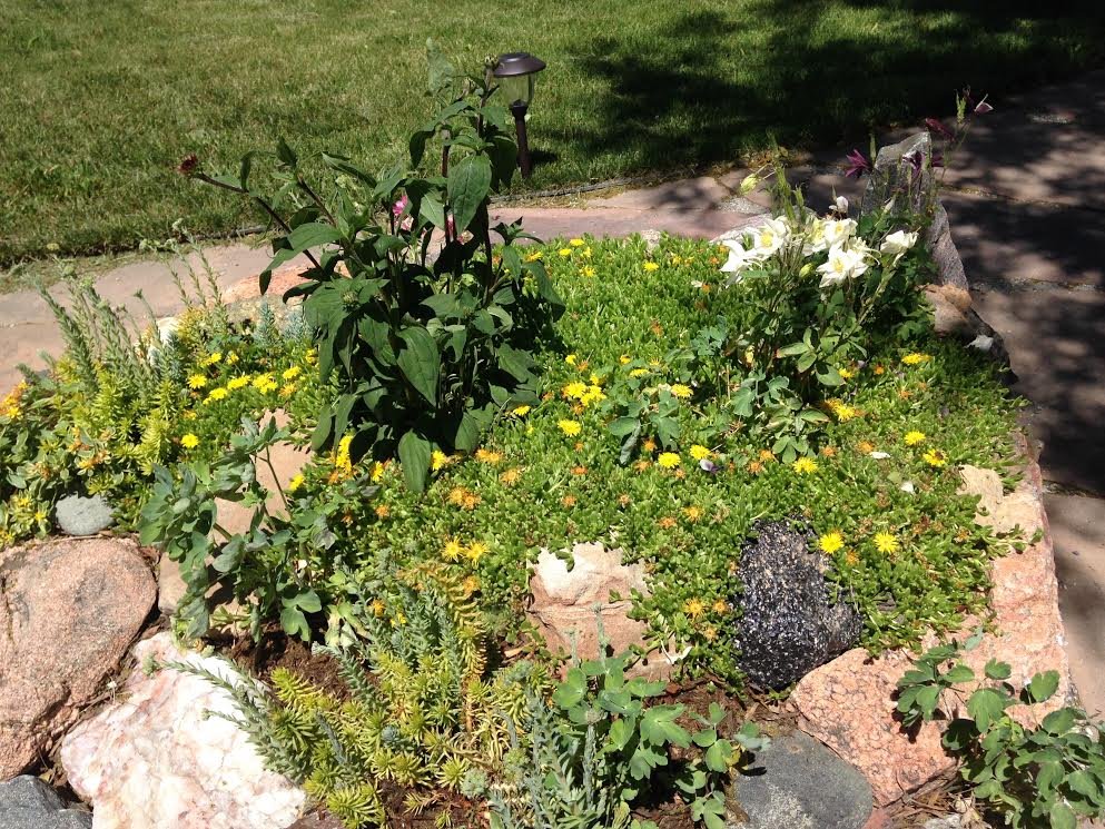 Photo of True Grit Custom Landscape & Design