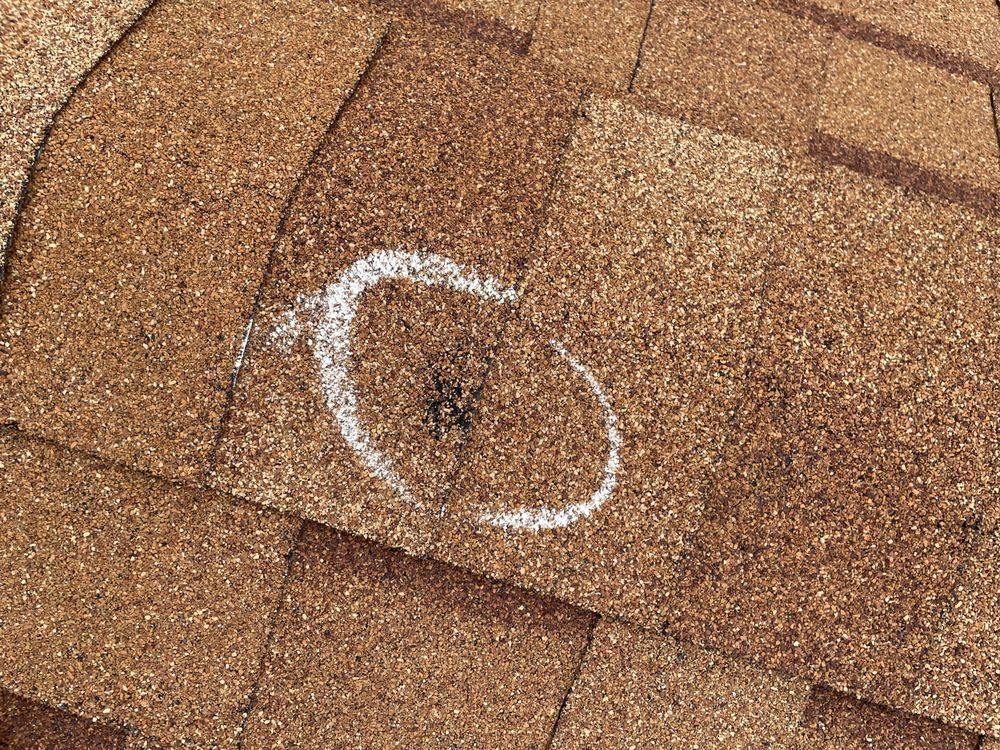 Photo of Precision Exteriors Restoration