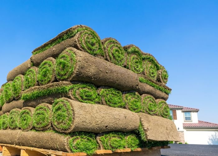 Photo of Denver Landscaping and Design