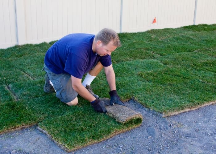 Photo of Denver Landscaping and Design